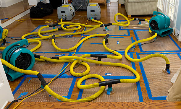 Professional Water Damage Repair technician working in Hamilton, IN